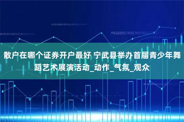 散户在哪个证券开户最好 宁武县举办首届青少年舞蹈艺术展演活动_动作_气氛_观众